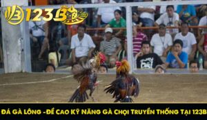 Đá Gà Lông – Đề Cao Kỹ Năng Gà Chọi Truyền Thống Tại 123B