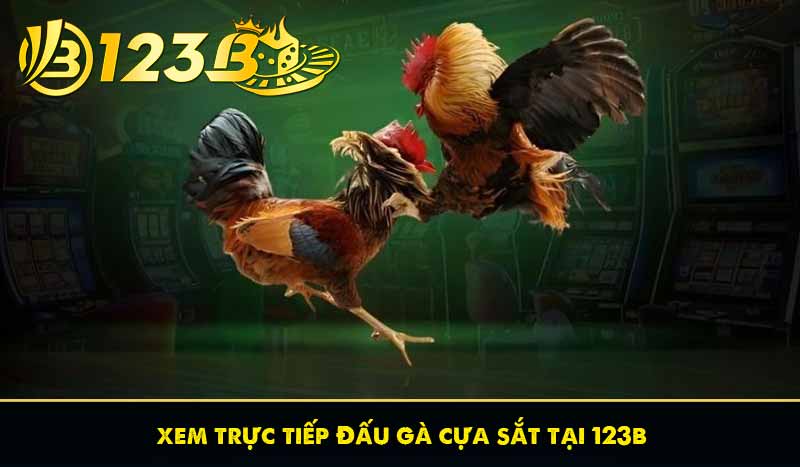 xem trực tiếp đấu gà cựa sắt tại 123b